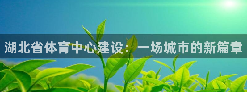 湖北省体育中心建设：一场城市的新篇章