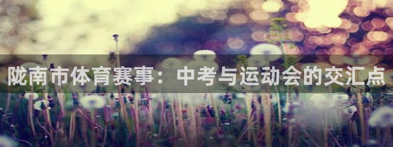 陇南市体育赛事：中考与运动会的交汇点
