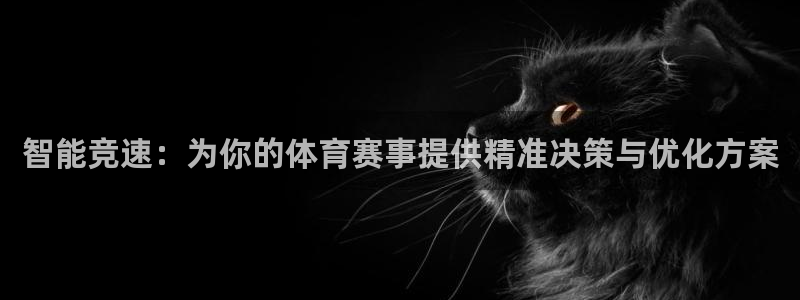 智能竞速：为你的体育赛事提供精准决策与优化方案